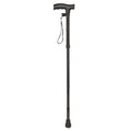 Economy Extending Walking Stick with Plastic Handle