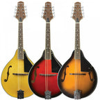 CTM28 Teardrop-Style Traditional Mandolin Rosewood Fingerboard
