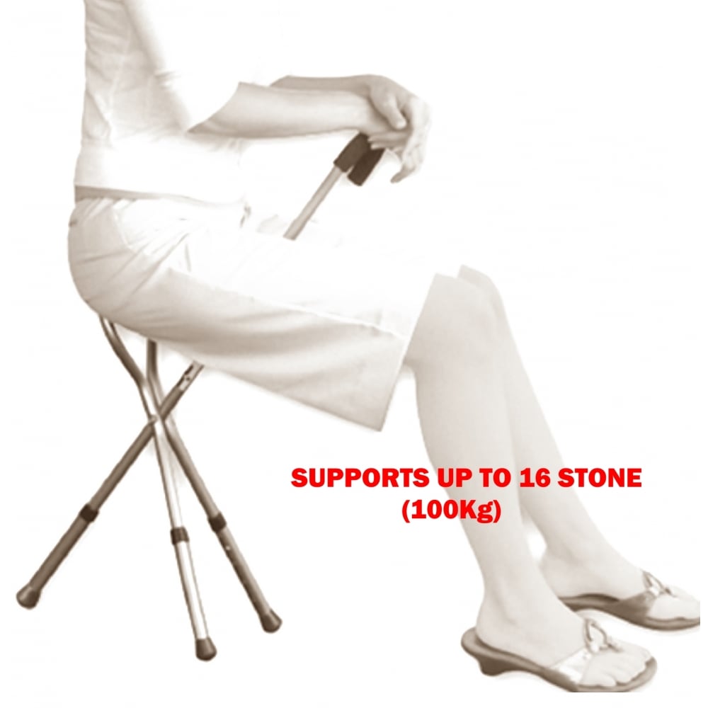 Disability Medical Aid Folding Seat Cane Walking Stick Stool Chair 100Kg
