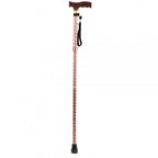 Extendable Plastic Handled Walking Stick with Engraved Pattern