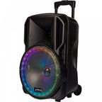 Portable PA 15’’ With USB and Echo Karaoke Machine