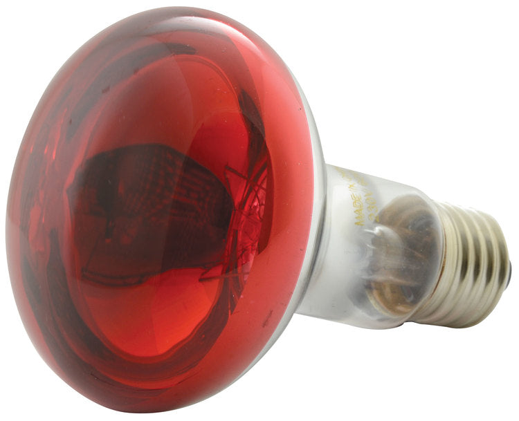 R80 Coloured Reflector Lamps Red Green Yellow Blue Blubs E27 Screw Fitting