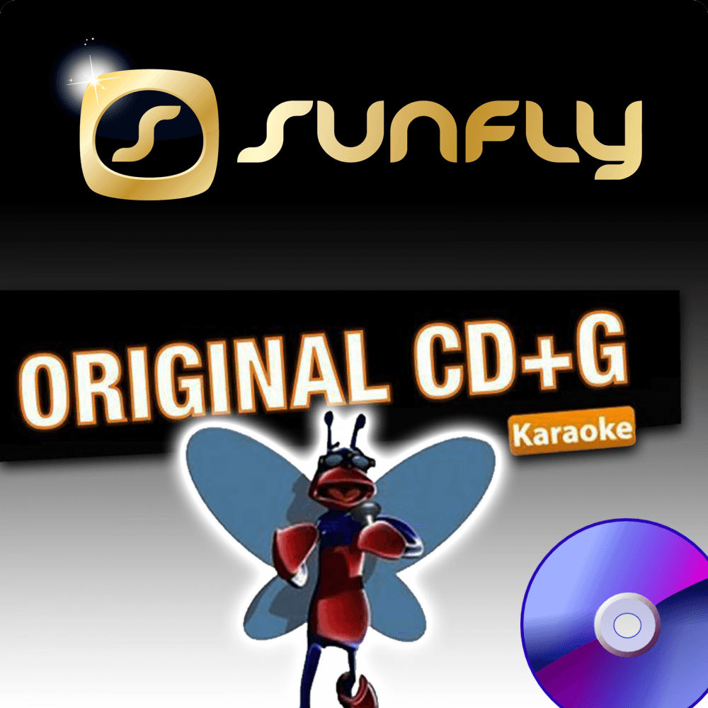 BIG Karaoke Hits of Sunfly Triple CD+G
