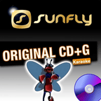 BIG Karaoke Hits of Sunfly Triple CD+G Decades 12