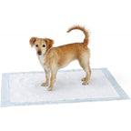 SAP 3 Water Retention Disposable Incontinence Pads