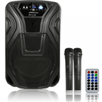 15" Busker PA with VHF Mics & Media Player