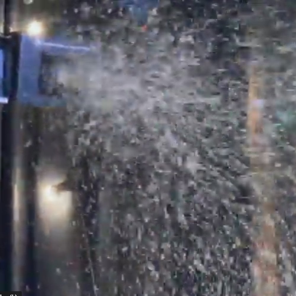 Entour Professional High Output Snow Machine