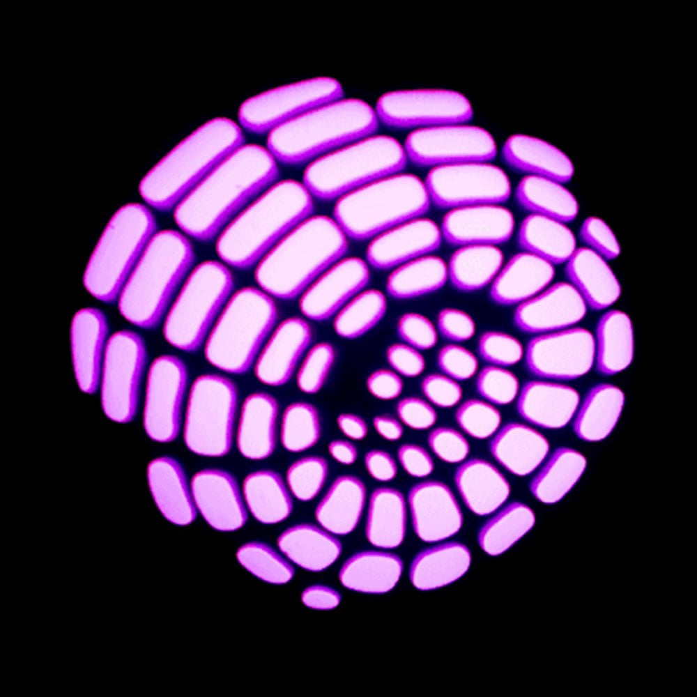 Star Wash Moving Head 30w Gobo Spot with LED Ring