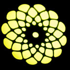Star Wash Moving Head 30w Gobo Spot with LED Ring