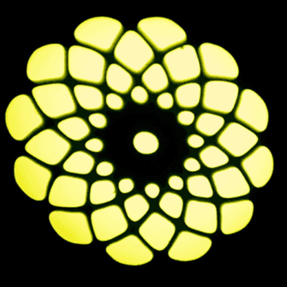 Star Wash Moving Head 30w Gobo Spot with LED Ring