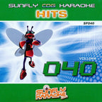 BIG Karaoke Hits of Sunfly Triple CD+G Decades 8