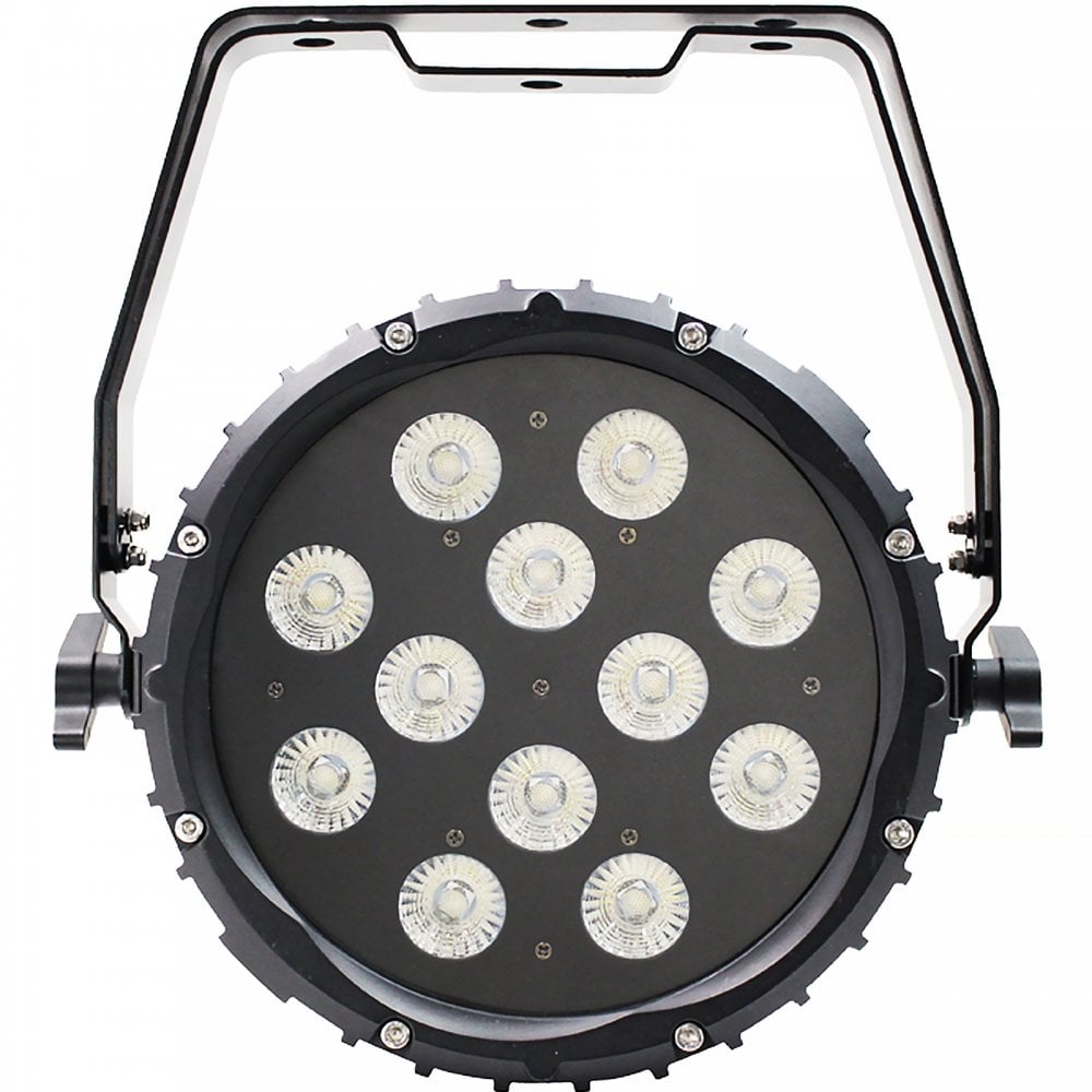 Spectra Par 12HEX10 Exterior Flood Lighting Fixture