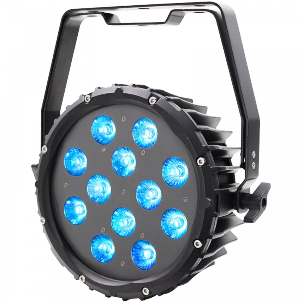 Spectra Par 12HEX10 Exterior Flood Lighting Fixture