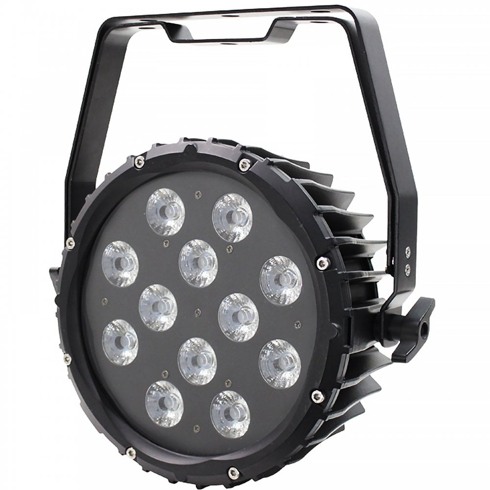 Spectra Par 12HEX10 Exterior Flood Lighting Fixture