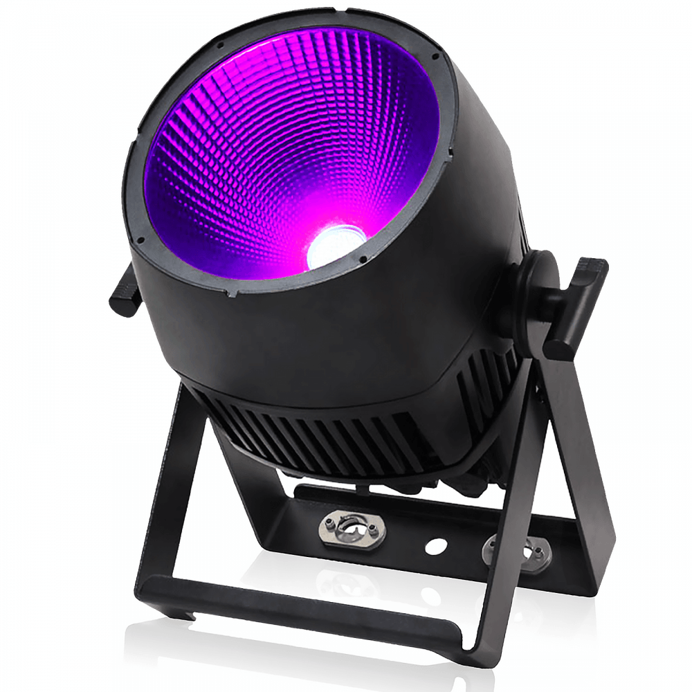 Endura UV100 COB Exterior Fixture