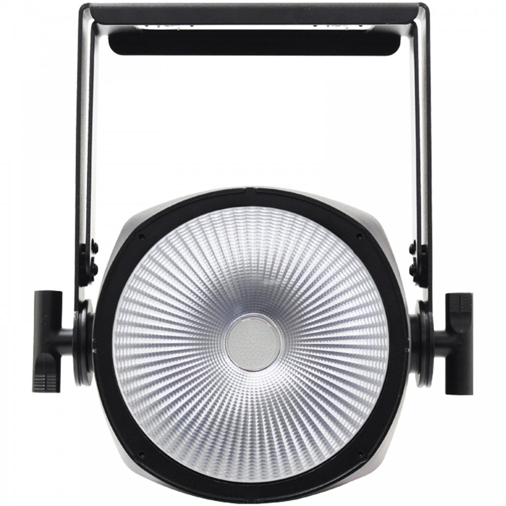 Endura UV100 COB Exterior Fixture
