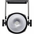 Endura UV100 COB Exterior Fixture