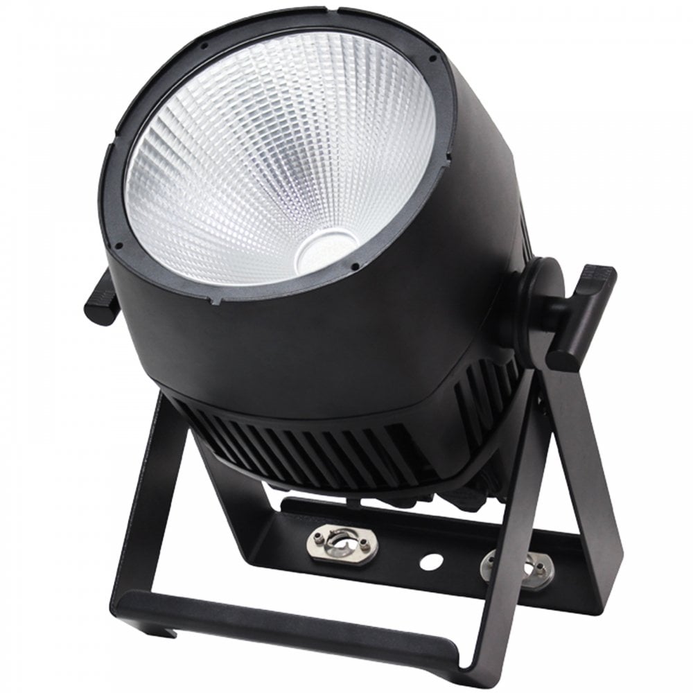 Endura UV100 COB Exterior Fixture