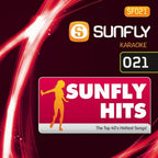 BIG Karaoke Hits of Sunfly Triple CD+G Decades 5