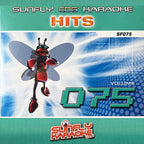 BIG Karaoke Hits of Sunfly Triple CD+G Decades 13