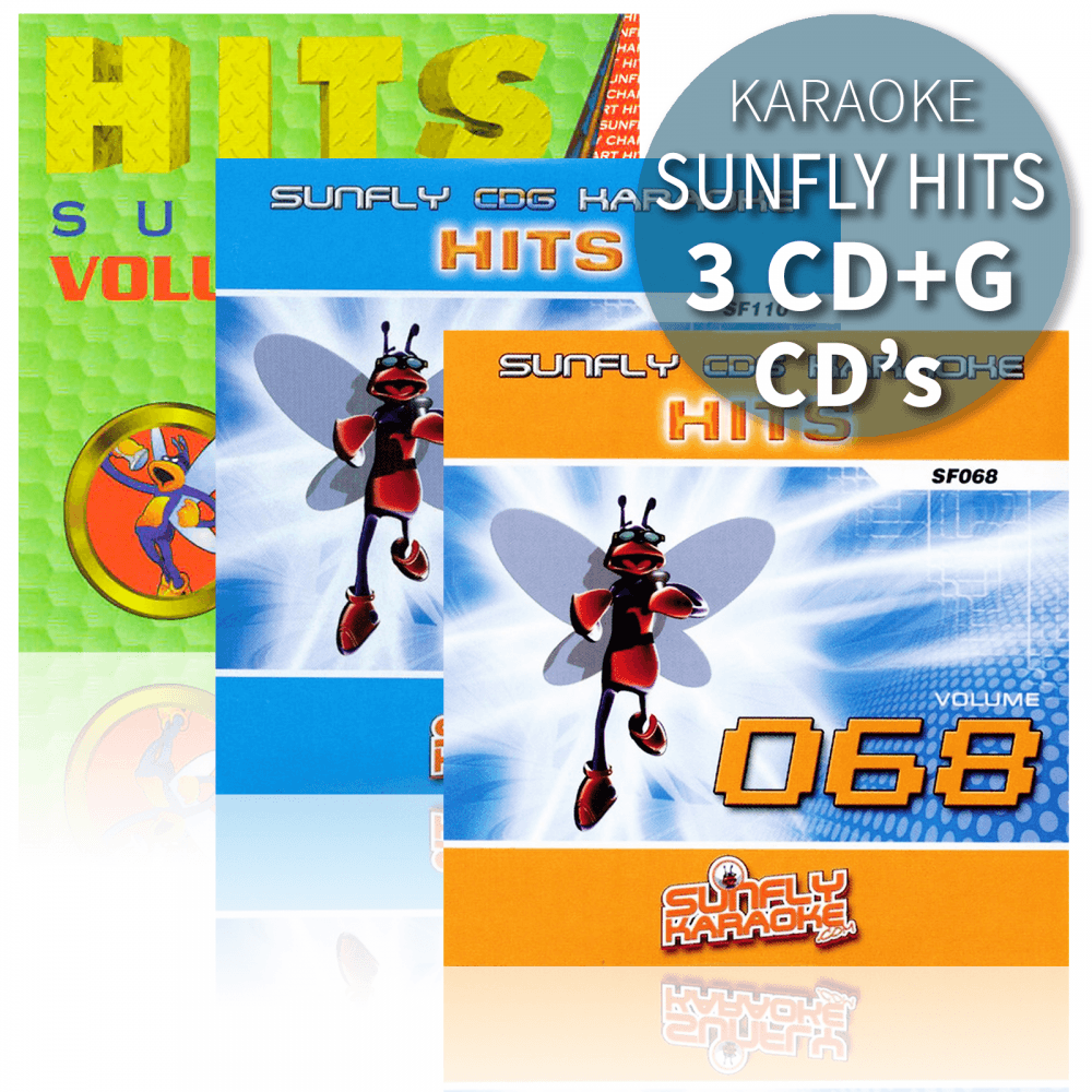 BIG Karaoke Hits of Sunfly Triple CD+G Decades 14