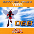 BIG Karaoke Hits of Sunfly Triple CD+G Decades 14