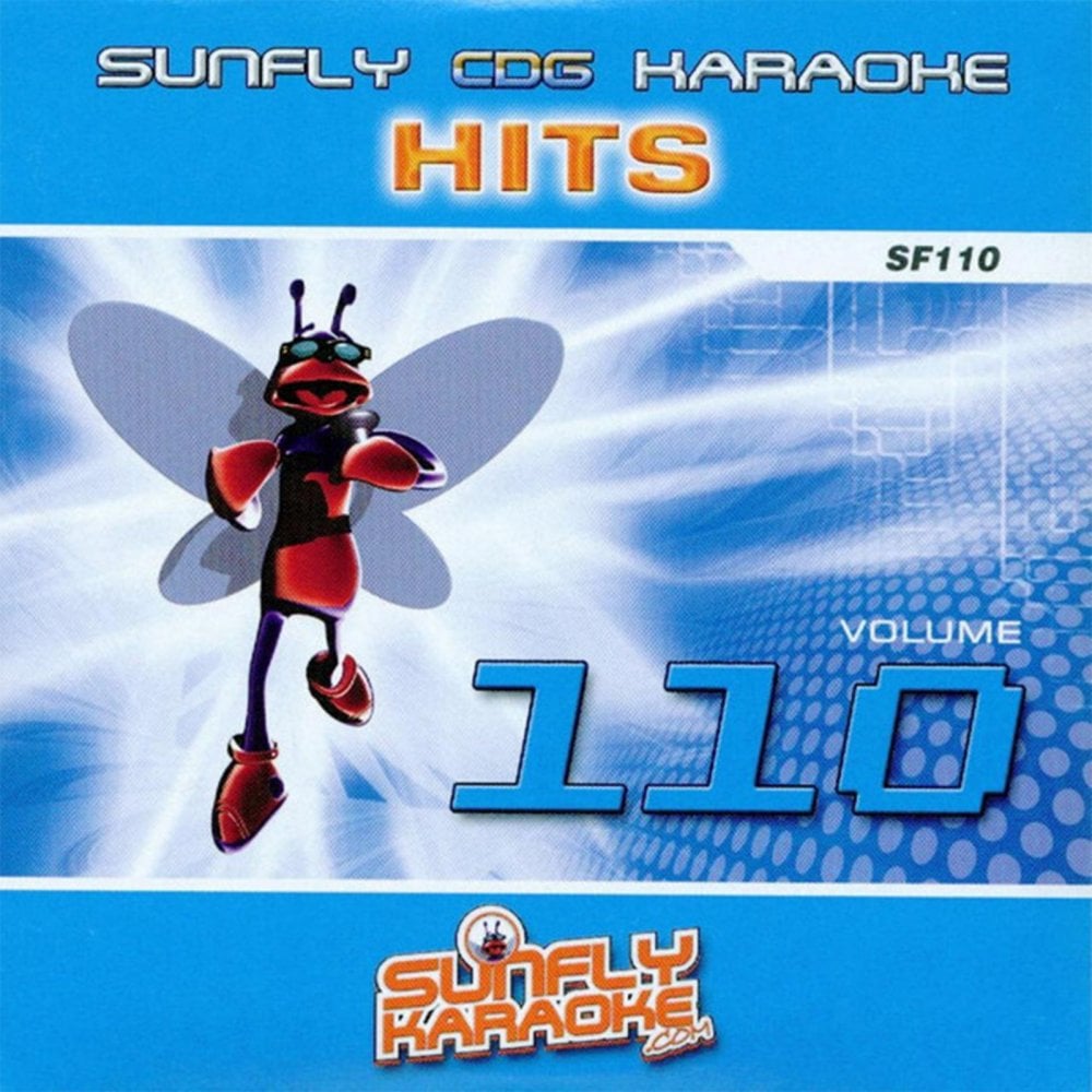 BIG Karaoke Hits of Sunfly Triple CD+G Decades 14