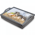 Wooden Lap Tray Grey with Cushion with Puppies