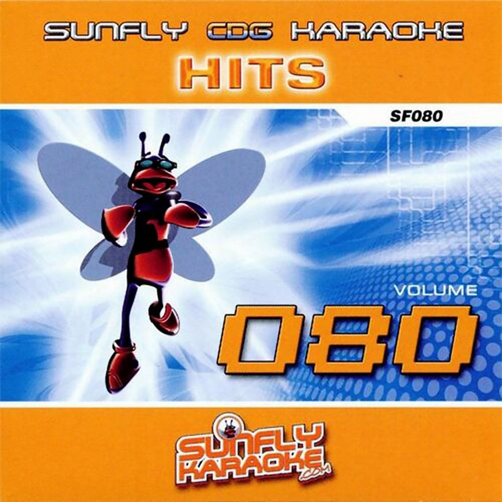 BIG Karaoke Hits of Sunfly Triple CD+G Decades 15