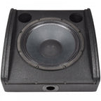CM-Series 12" Active Wedge Monitors with Bluetooth
