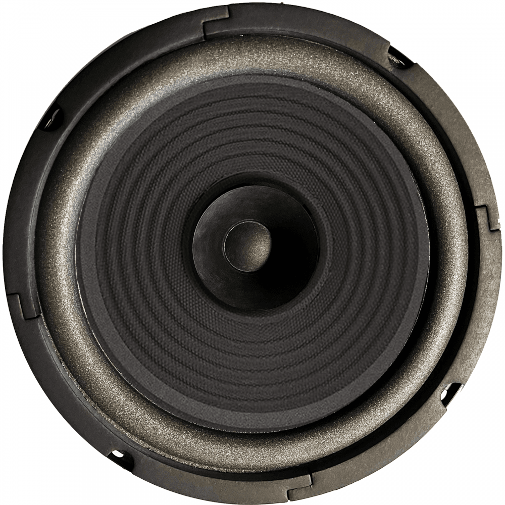 8" Chassis Speaker Full Range Driver 40W 8 Ohm
