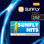 BIG Karaoke Hits of Sunfly Triple CD+G Decades 1