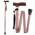 Extendable Plastic Handled Walking Stick with Engraved Pattern