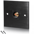 Black Metal Wall Plate 1 Gold RCA Phono Socket