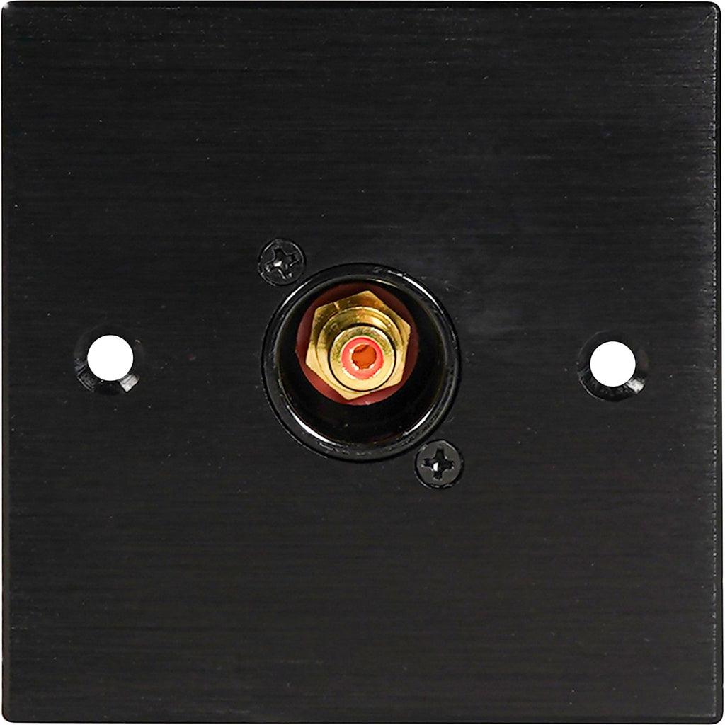 Black Metal Wall Plate 1 Gold RCA Phono Socket