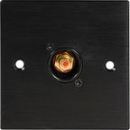 Black Metal Wall Plate 1 Gold RCA Phono Socket