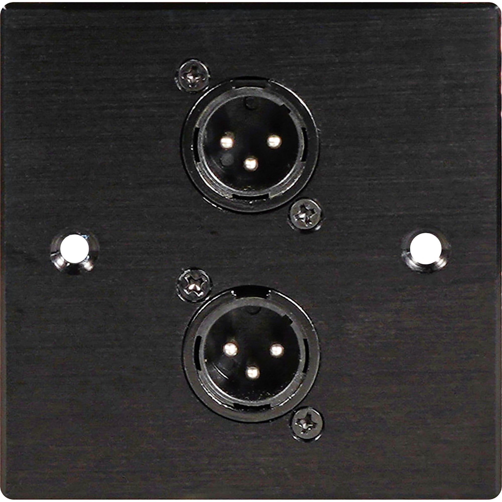 Black Metal Wall Plate 2 Male 3 Pin XLR