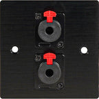 Black Metal Wall Plate 2 6.35mm Jack Socket