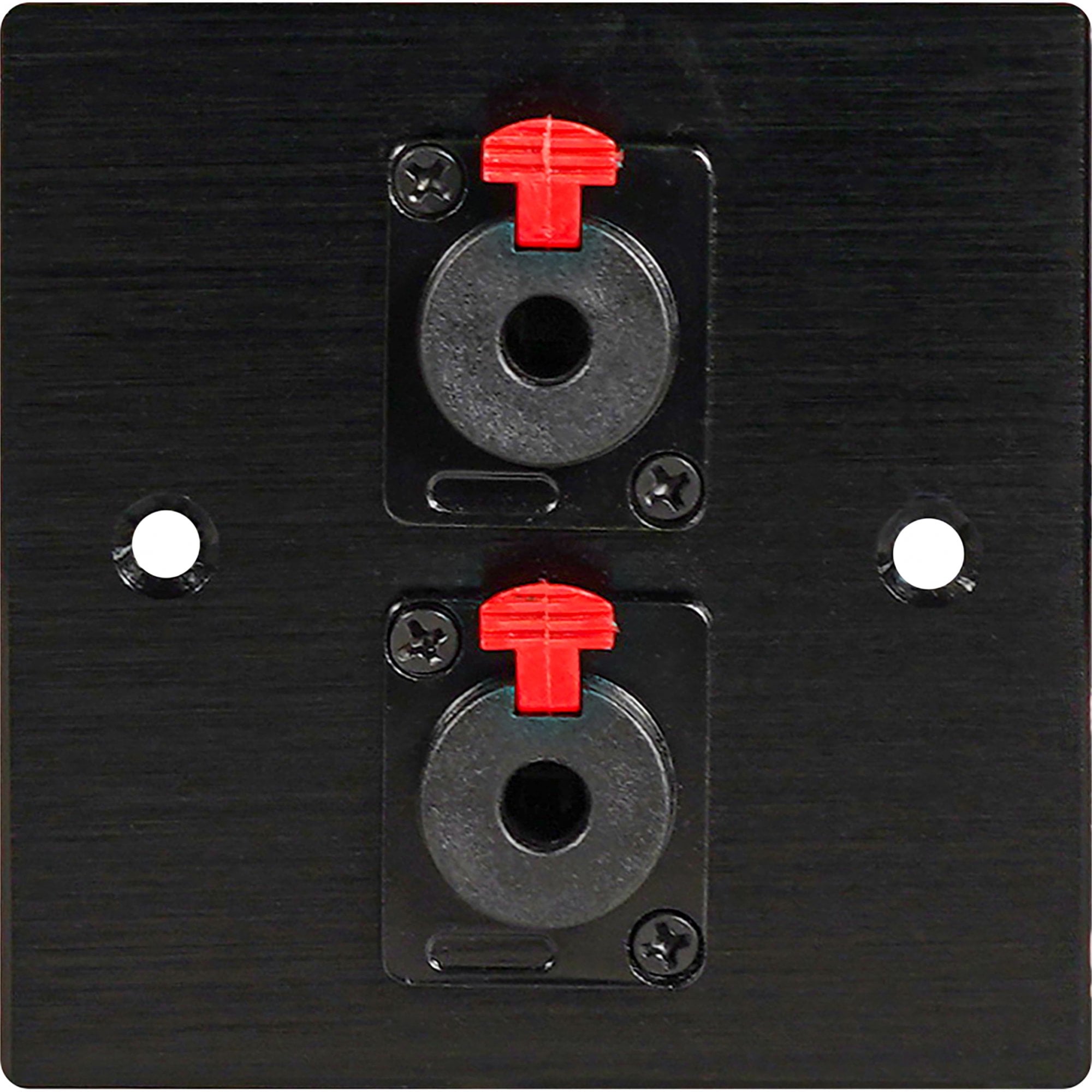 Black Metal Wall Plate 2 6.35mm Jack Socket