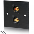 Black Metal Wall Plate 2 Gold RCA Phono Socket