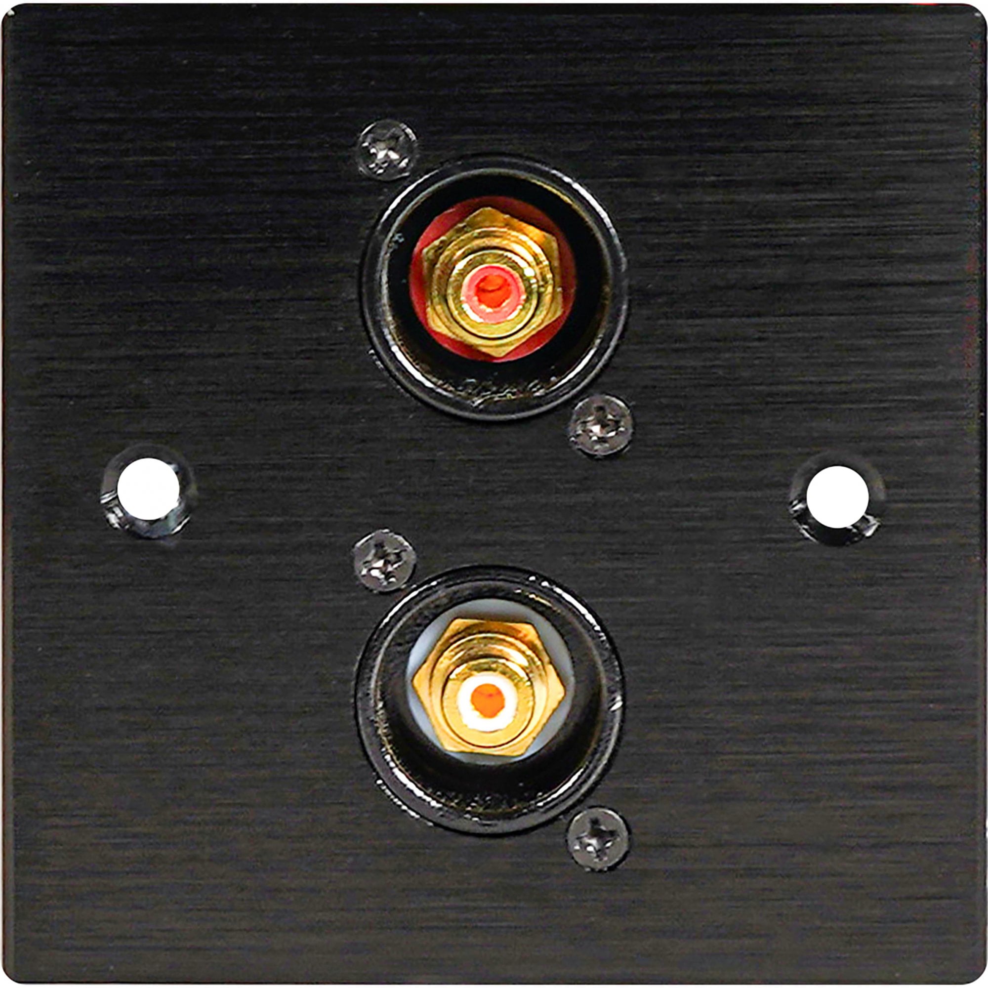 Black Metal Wall Plate 2 Gold RCA Phono Socket