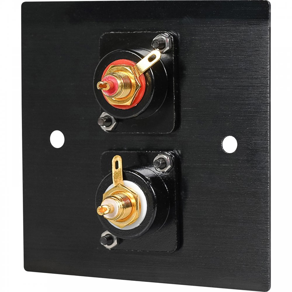 Black Metal Wall Plate 2 Gold RCA Phono Socket