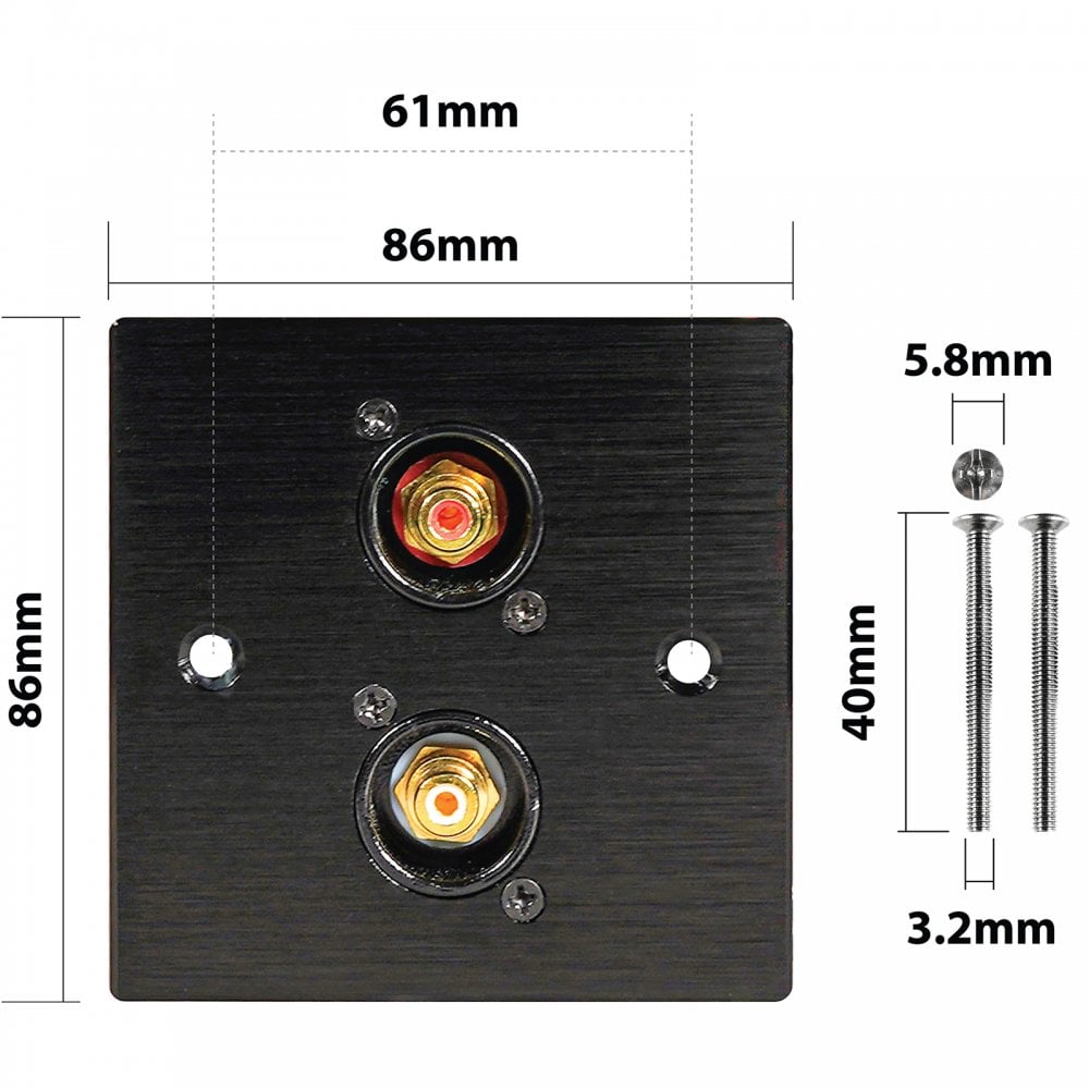 Black Metal Wall Plate 2 Gold RCA Phono Socket
