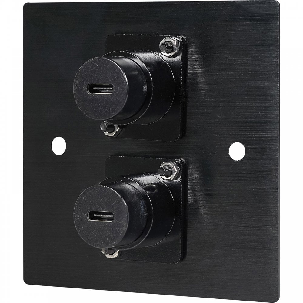 Black Metal Wall Plate 2 USB C Socket