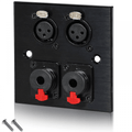 Black Metal Wall Plate Twin Jack and XLR Female Sockets