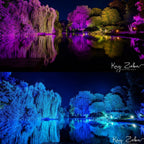 Spectra QX40 Pixel 40 x 15W RGBW LED Event Lighting