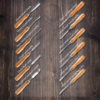 Wood Carving Chisel Set 12 piece in Storage Case