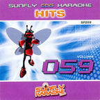 BIG Karaoke Hits of Sunfly Triple CD+G Decades 9