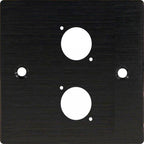 Black Metal Wall Plate Two Hole D-Series Standard