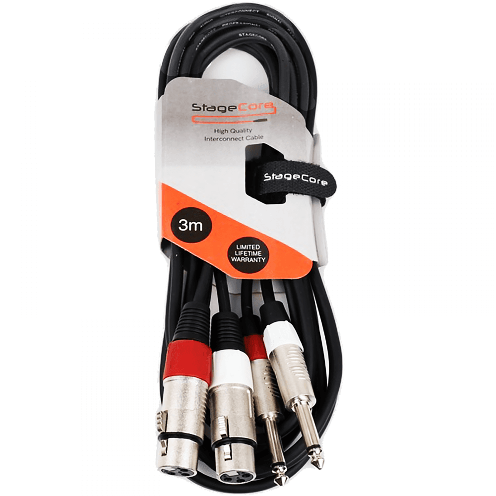 2 x XLR Female to 2 x 6.35mm Mono Jack Audio Lead 3m
